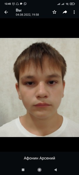 Арсений Иванович Афонин