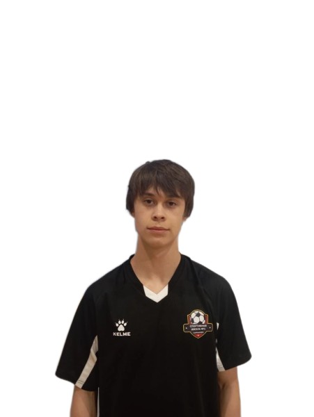 Вильдан Каримович Салахов