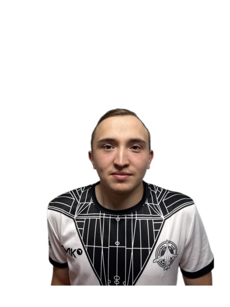 Инсаф Шамилевич Гатауллин