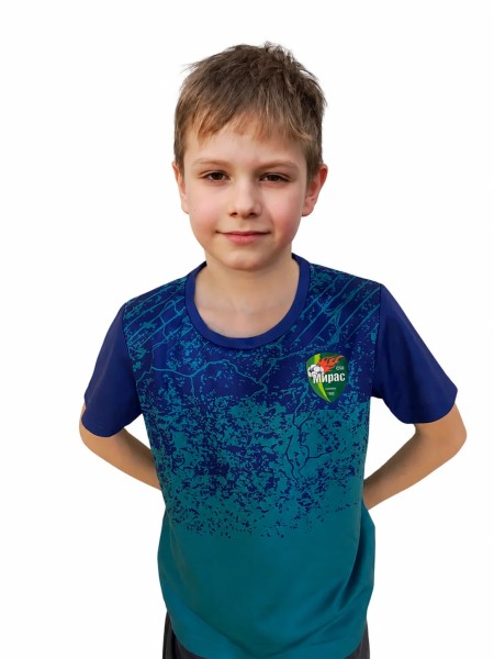 Тимур Фанилевич Ахметшин