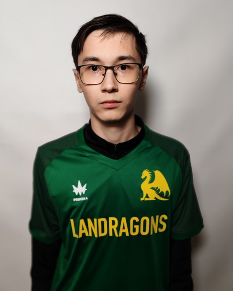 Амир Эльвирович Исмагилов