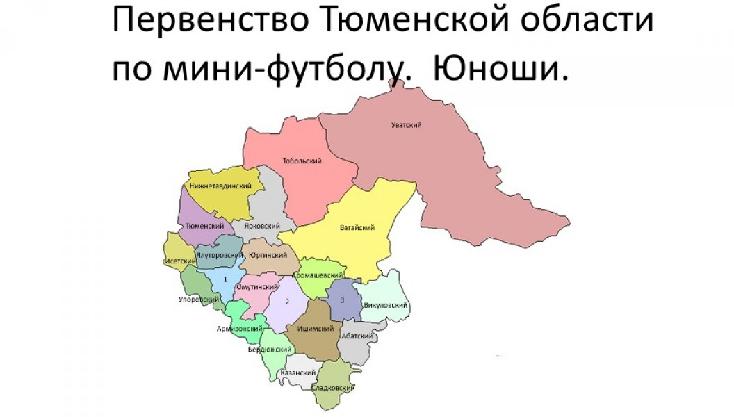 Когда образовалась тюменская область. Карта Тюменской области с районами. Тюменская обл районы карта. Карта Юга Тюменской области с районами. Карта Тюменской области по районам.