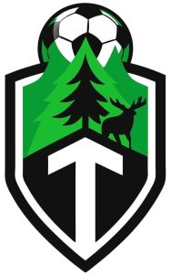 Тимирязевские Львы
