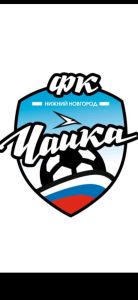 Чайка-2017-1