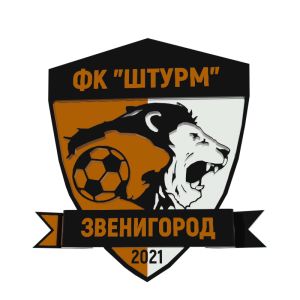 ФК Штурм