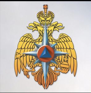 МЧС по РМ