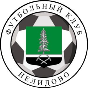ФК "Нелидово- 2012" г.Нелидово