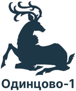 ФК Одинцово-1