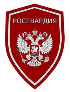 Без названия