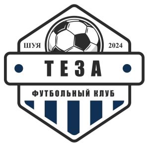 Футбольная команда «Теза»