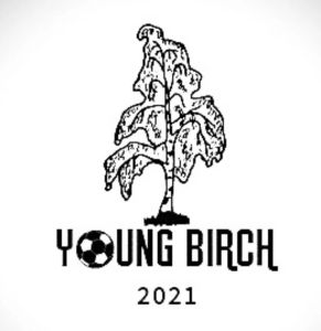 Young birch