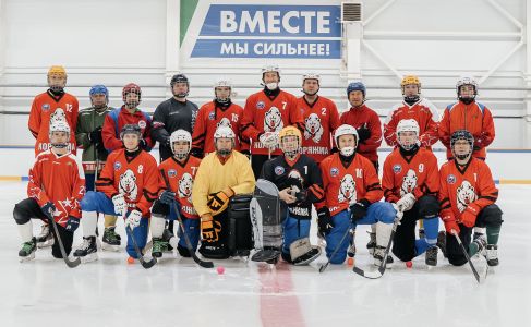 Медведи