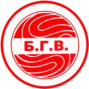Футбольная команда "БГВ"