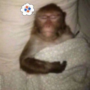 Автомаркет