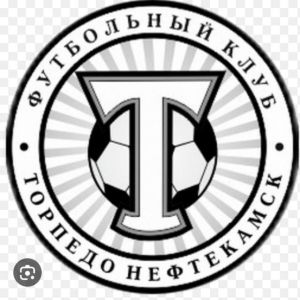 Торпедо-2