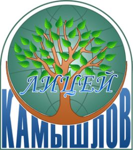 Лицей-2013