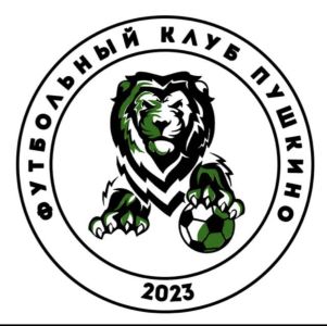 ФК Пушкино