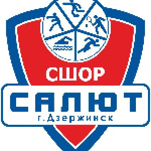 Салют-2014-2