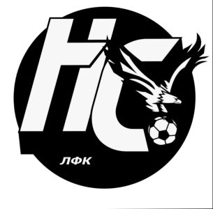 ФК Новое Ступино