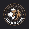 Романов Денис Футбольный клуб «Gold Pride BB» | Екатеринбург