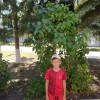 Зайнутдинов Родион Альтаир