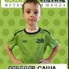 Лебедев Александр Soccerball-2015