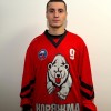 Афанасьев Игорь Медведи