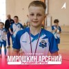 Мирошкин Арсений МАОУ "Гимназия № 94"