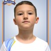 Шаров Степан Бионика