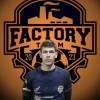 Гришин Сергей Factory Team