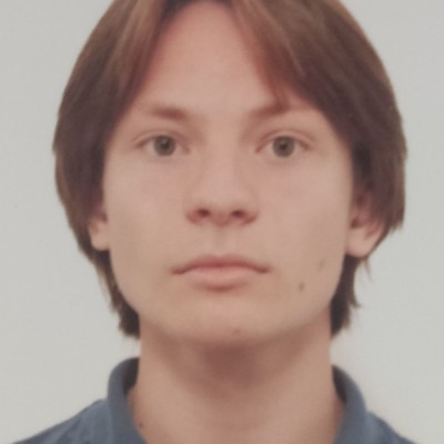 Рысин Олег Московский государственный университет имени М.В. Ломоносова