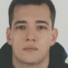 Биушкин Павел Стальные лисы