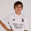 Мирский Денис АМ ЭКСПЕРТ