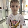Бобин Лев Феникс