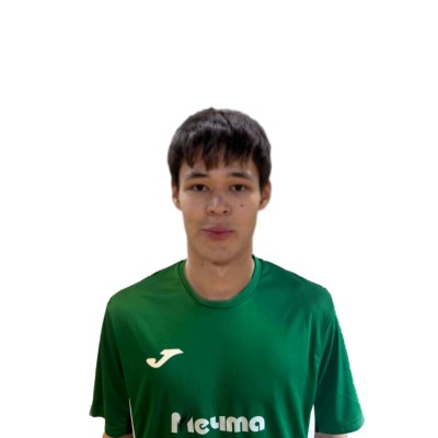 Галиев Ренат Мечта