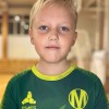 Ильдубаев Макар Мираж