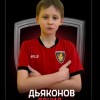 Дьяконов Данил МАОУ "СОШ № 14" г.Перми