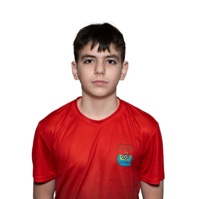 Абгарян Арменак ООО "Футбольный клуб Автово"