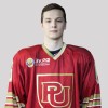 Рубинчик Марк Российский экономический университет имени Г.В.Плеханова