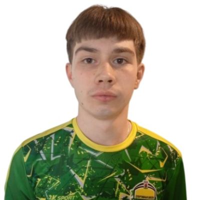 Фаиезов Эмиль Теплобокс-Савиново
