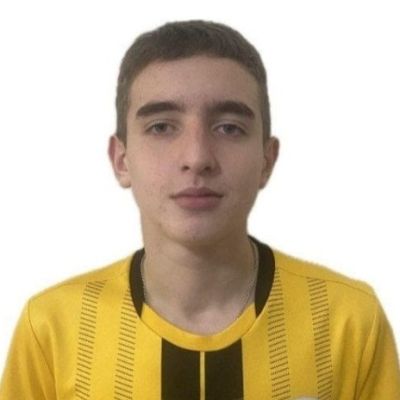 Цыганов Мирослав Труд