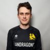 Самоделкин Данила Landragons