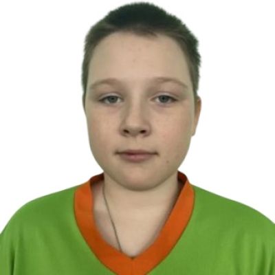 Гончаренко Данил Верхнеуслонская гимназия
