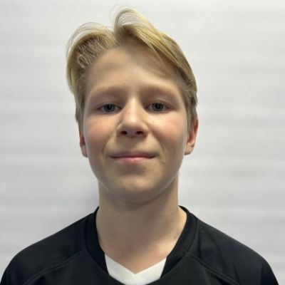Литвинов Андрей ВИЗ