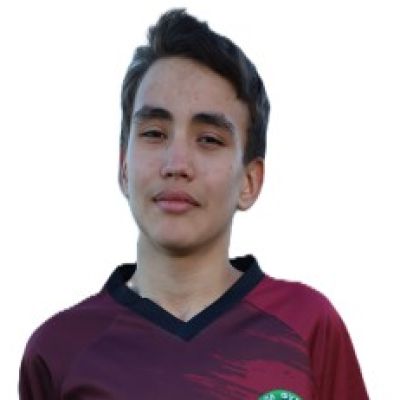 Малинин Лев Football Masters