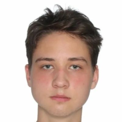 Гурбик Сергей Национальный исследовательский университет «Московский институт электронной техники»
