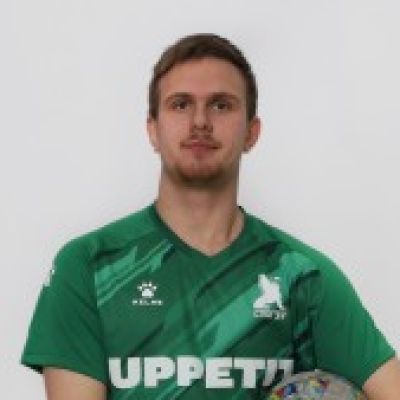 Романов Глеб Санкт-Петербургский Экономический Университет