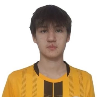 Сафин Карим Труд
