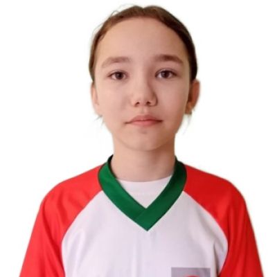 Васильева Валерия Большеаксинская СОШ