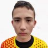 Сафиуллин Азамат Олимп
